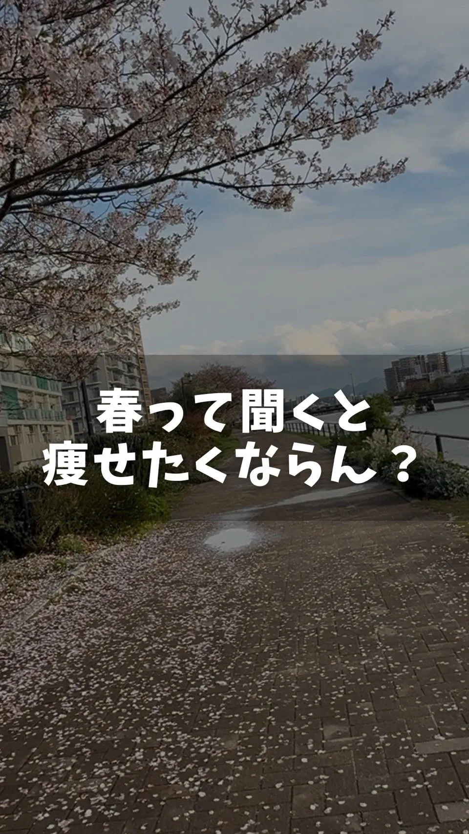 春になったら運動したくならん？🌸